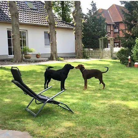 Haus Am Dorfteich - 1 Daire