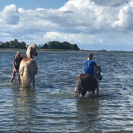 Haus Am Dorfteich - 1