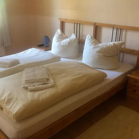 Haus Am Dorfteich - 1 Daire *