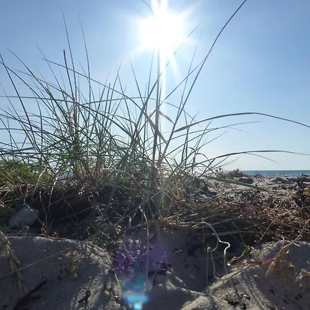 Haus Am Dorfteich - 1 Daire