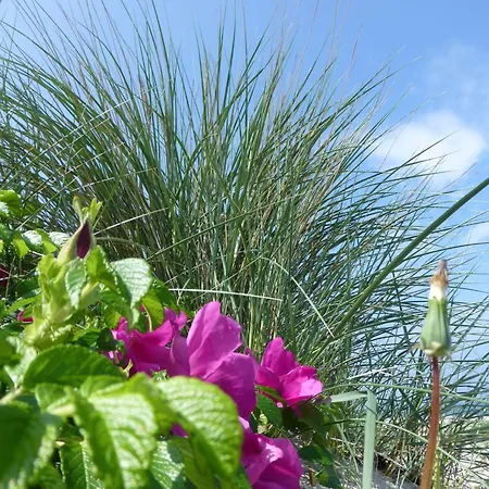 Daire Haus Am Dorfteich - 1 *