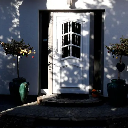 Haus Am Dorfteich - 1 Daire Bojendorf